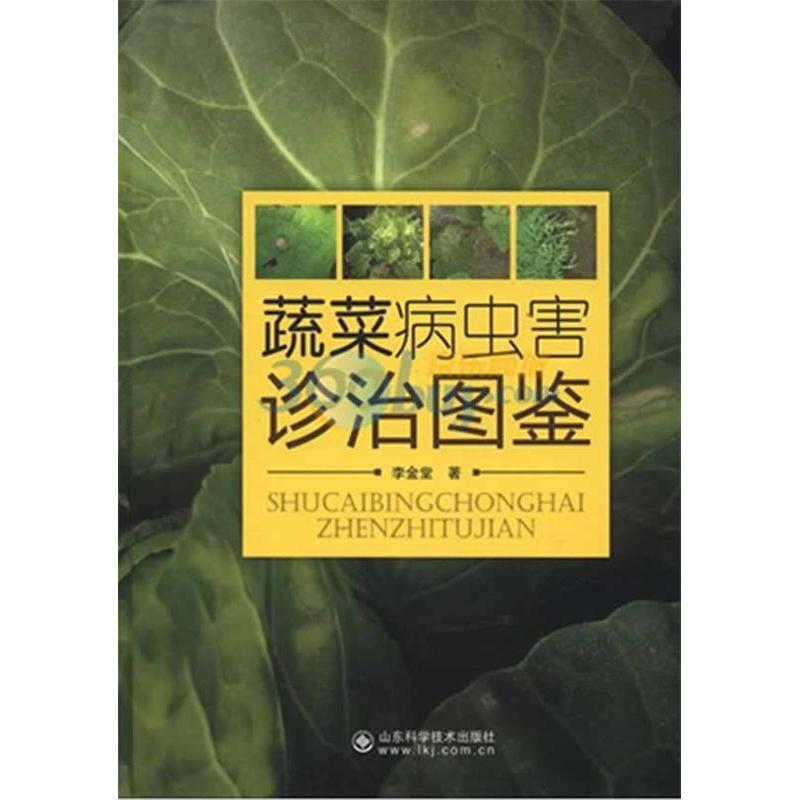 正版蔬菜病虫害诊治图鉴