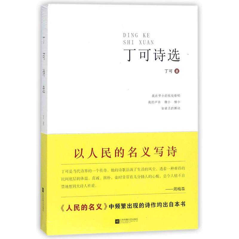 正版丁可诗选