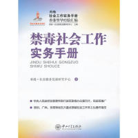 正版禁毒社会工作实务手册-内地社会工作实务手册香港督导经验汇编