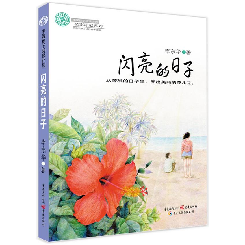 正版闪亮的日子