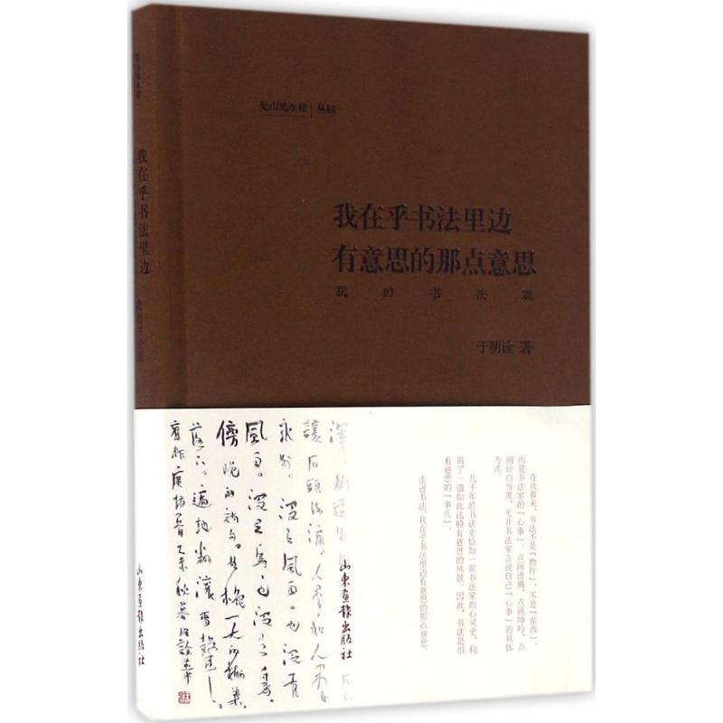 正版我在乎书法里有意思的那点意思