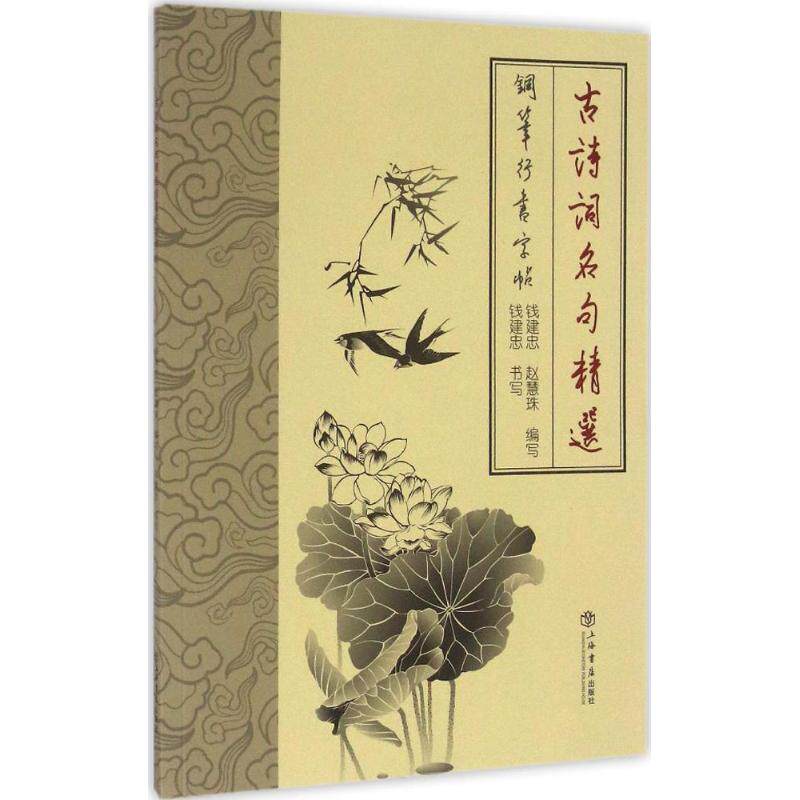 正版古诗词名句精选钢笔行书字帖