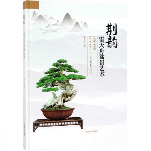 正版人气玫瑰月季盆栽入门