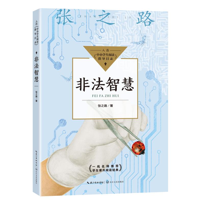 正版非法智慧