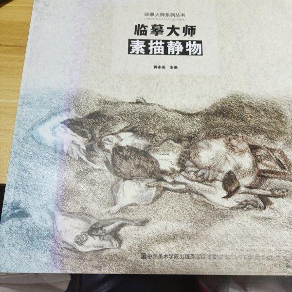 正版临摹大师系列丛书 临摹大师素描静物