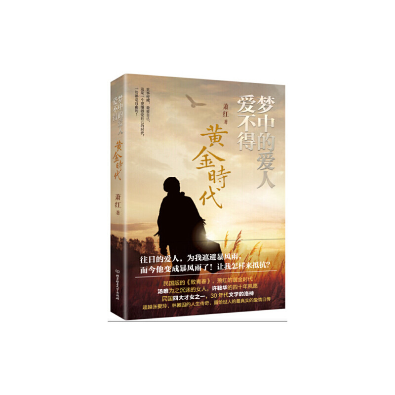 正版梦中的爱人爱不得