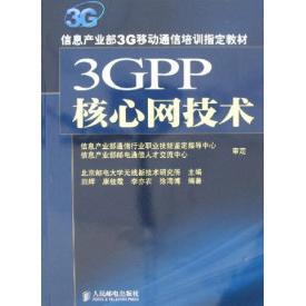 3GPP核心网技术正版