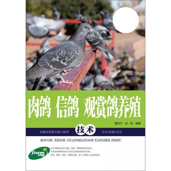 正版肉鸽信鸽观赏鸽养殖技术 图文本 鸽子品种选择 鸽舍鸽笼建设 饲料配置 鸽孕育 鸽
