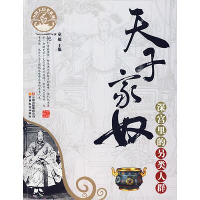 正版天子家奴/中国大历史系列