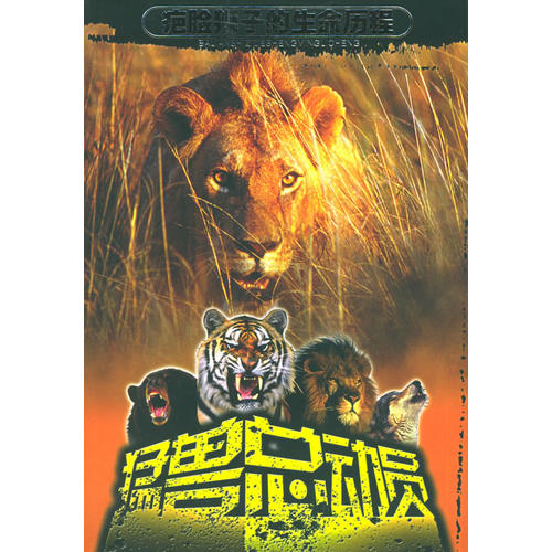 正版猛兽总动员:疤脸狮子的生命历程