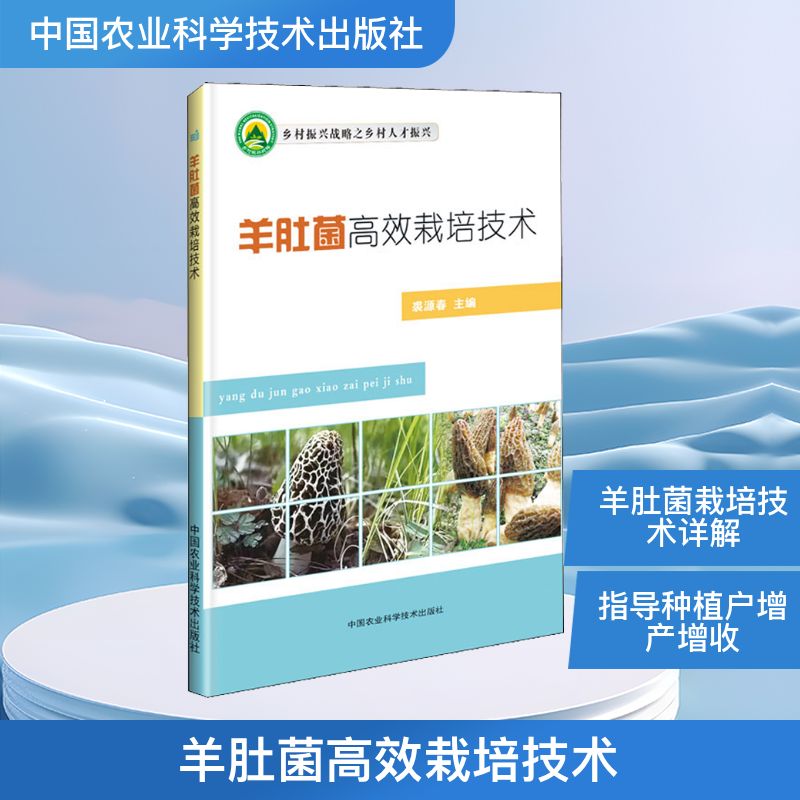 正版羊肚菌栽培技术