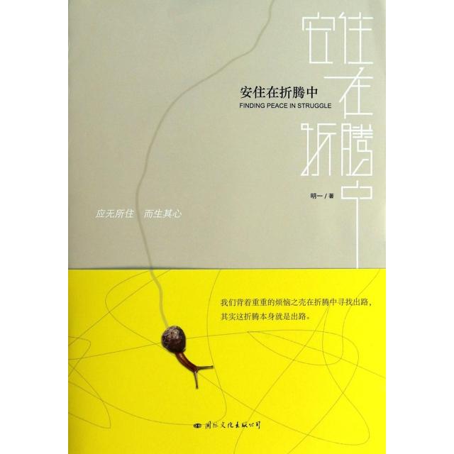 正版安住在折腾中