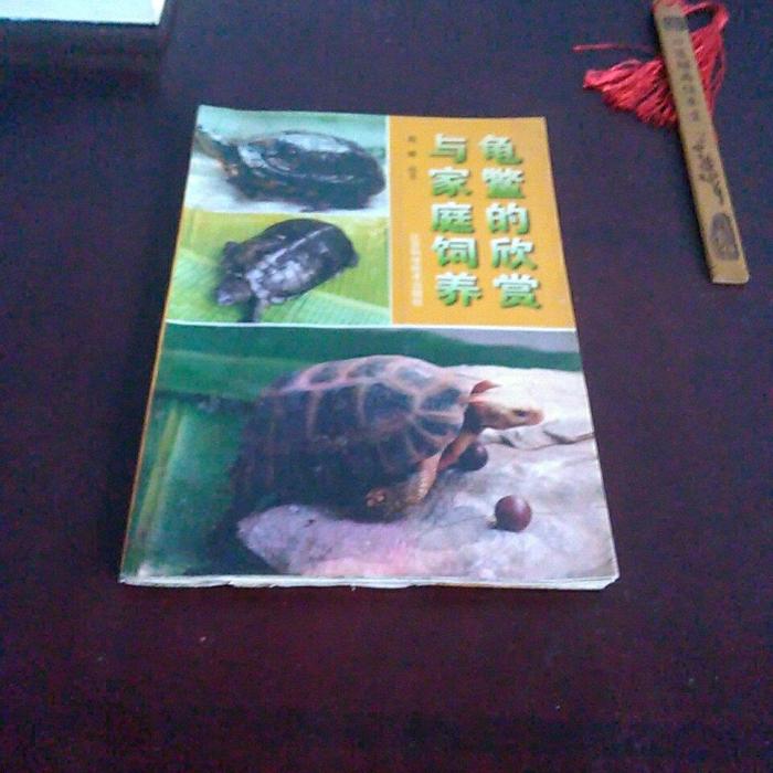 正版龟鳖的欣赏与家庭饲养