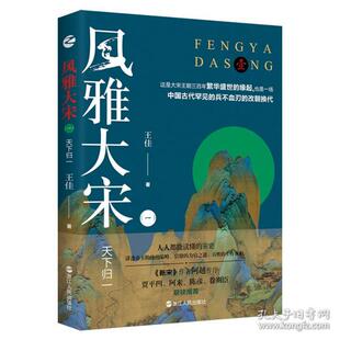 正版风雅大宋():下归一 中国历史 王佳