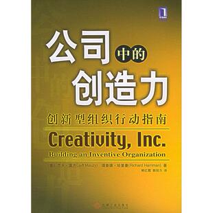 正版公司中的创造力：创新型组织行动指南
