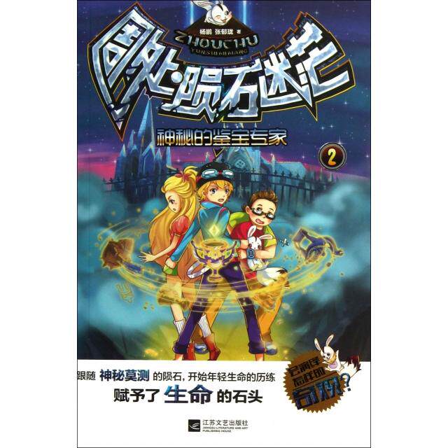 正版神秘的鉴宝专家/周处陨石迷茫