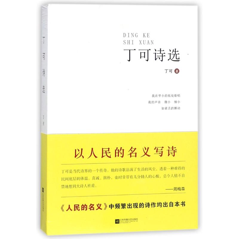正版丁可诗选