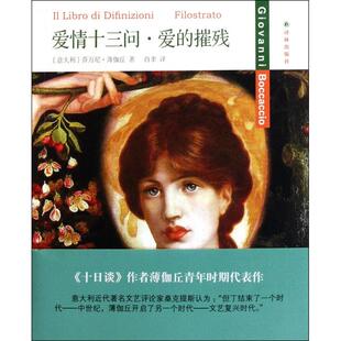 爱情十三问爱的摧残正版