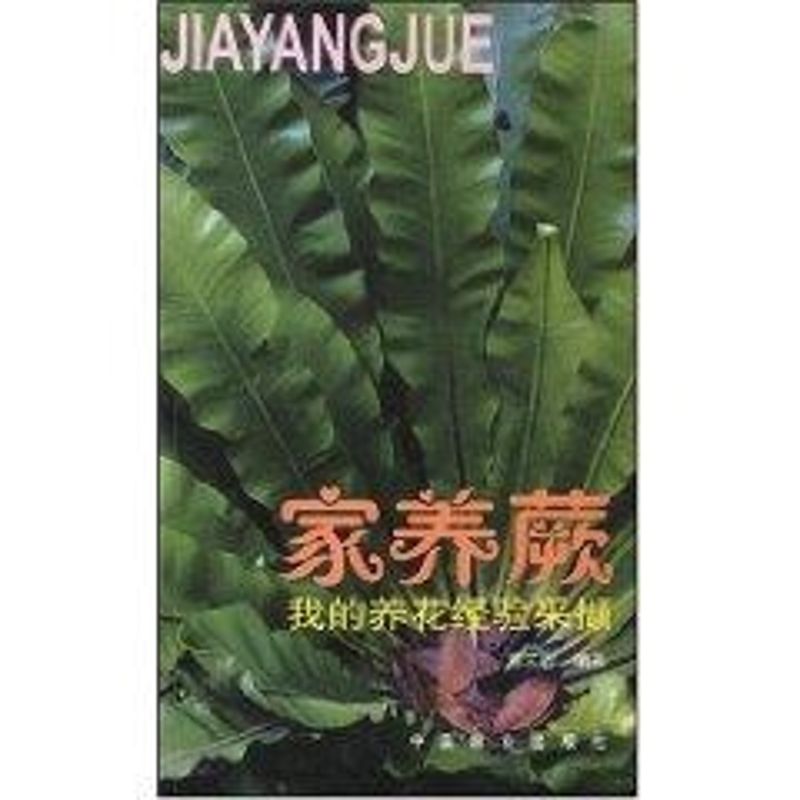 正版家养蕨:我的养花经验采撷