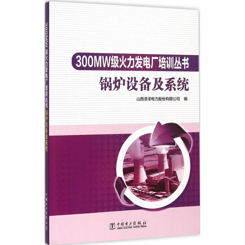 正版锅炉设备及系统