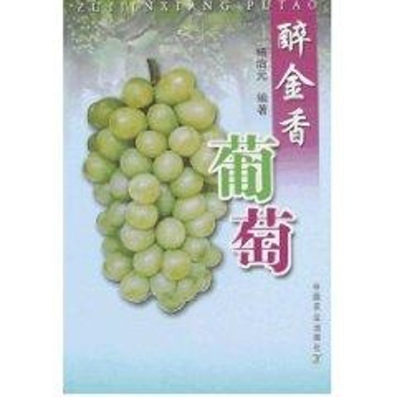 正版醉金香葡萄