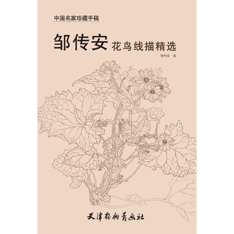 正版邹传安花鸟线描精选