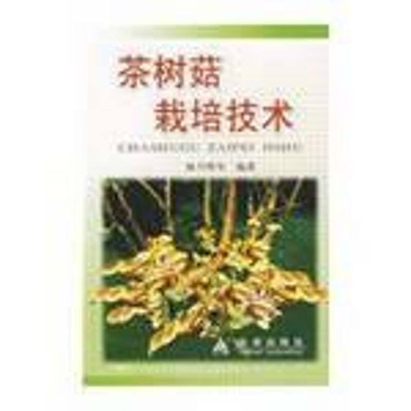 正版茶树菇栽培技术