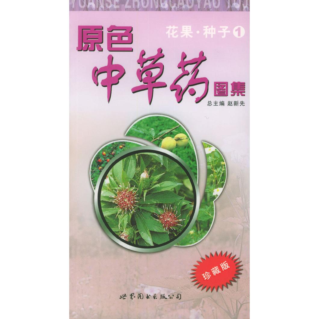 正版原色草图集.花果·种子1