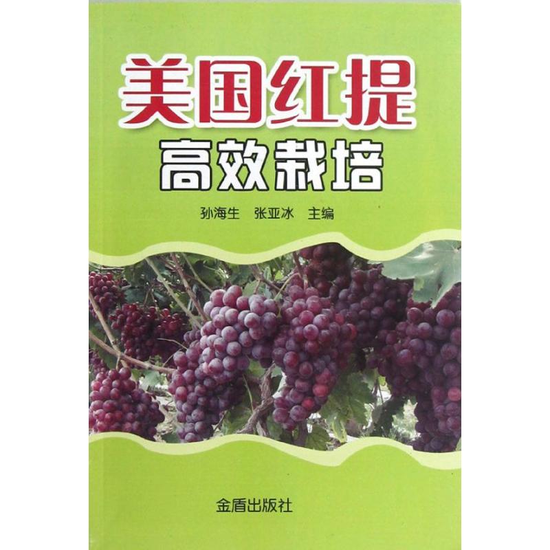 正版美国红提栽培