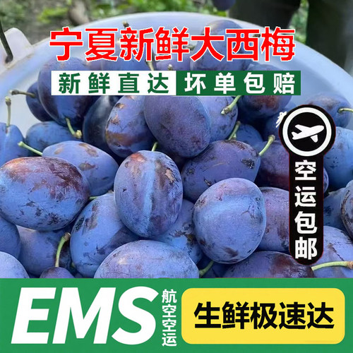 宁夏正宗新鲜西梅头茬蓝蜜梅当季