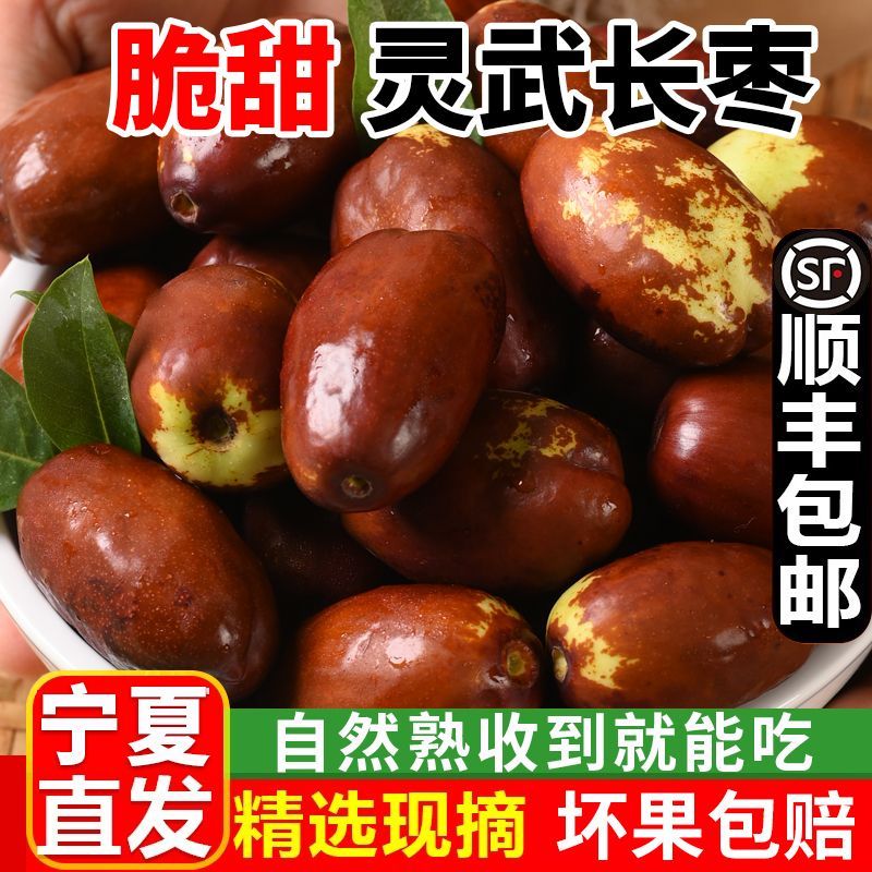 【顺丰包邮】宁夏灵武农家大长枣鲜枣脆甜新鲜大红枣当季孕妇水果