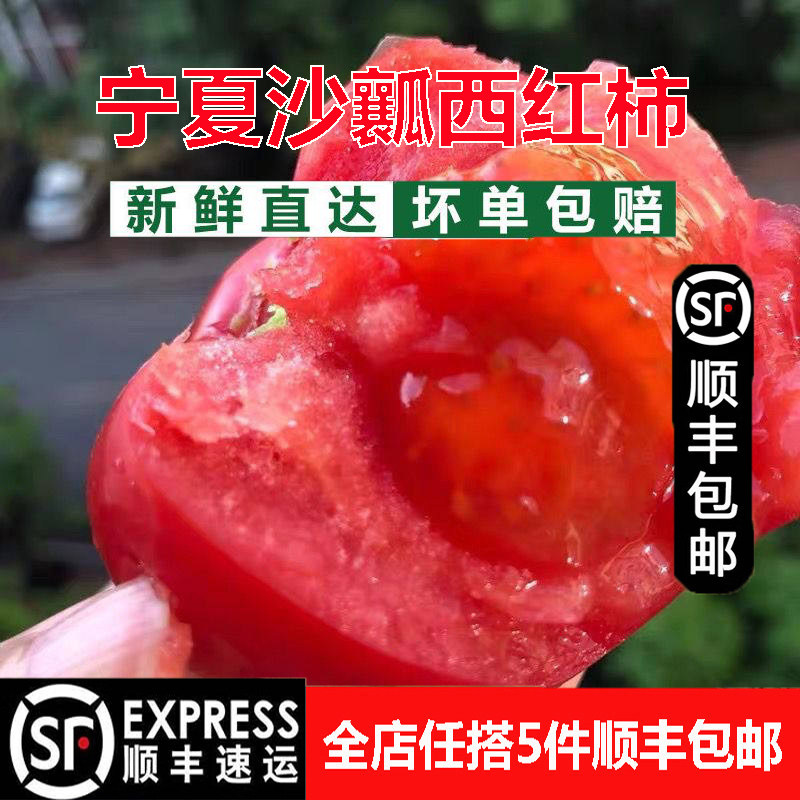宁夏沙瓤西红柿自然熟老品种