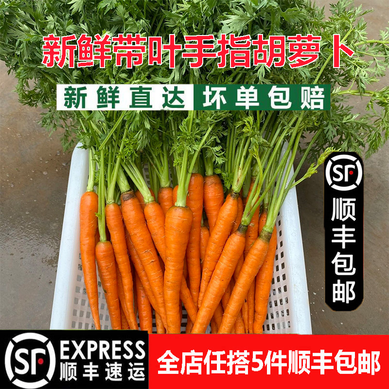 新鲜手指胡萝卜西餐食材小胡萝卜水果沙拉宝宝宴布置,水产肉类/新鲜蔬果/熟食,萝卜/胡萝卜,淘宝优惠券,粉丝福利购,淘宝优惠卷