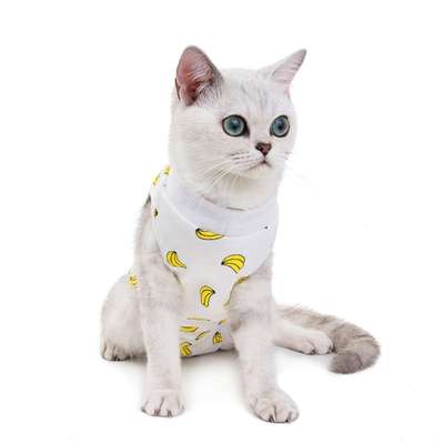 透气天宠四脚春夏手术服绝育服母猫夏天夏季猫猫后防小猫防护跨境