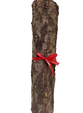 桃木原木桃木木料小李肥刀剑桃木树枝桃木墩野生东南桃木雕刻木料