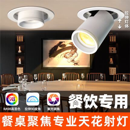 变焦餐饮店专用射灯2700k嵌入式伸缩射灯可调角度餐厅餐桌菜品灯