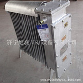 山西煤矿取暖器RB2000 127矿用井下隔爆型取暖器 隔爆型取暖器