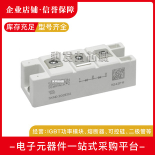 SKKE120F17全新二極管模塊 SKND205F06 SKND202E02 SKND202E03