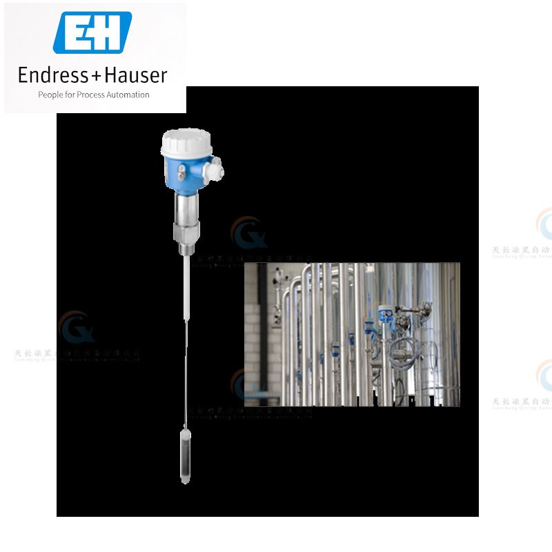 FMI52 FMI51k FTW23 FTW33 FMI21 FTI52 FTI55 液位计 E+H