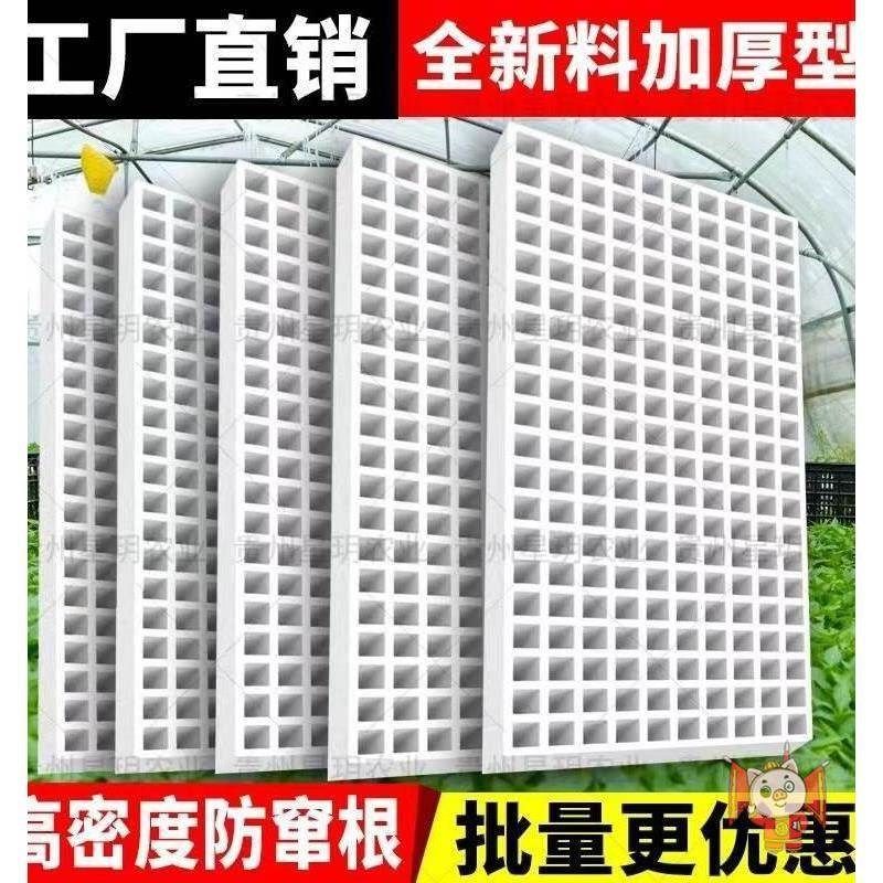 漂浮泡沫板水上种植泡沫育苗x盘穴盘秧盘水培盘育苗盘白色泡沫盘,鲜花速递/花卉仿真/绿植园艺,育苗盘/营养钵,淘宝优惠券,粉丝福利购,淘宝优惠卷