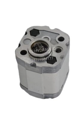 齿轮泵CBKL-G2200BL CBKtL-G2250BL CBKL-G2075举升机动力单元油