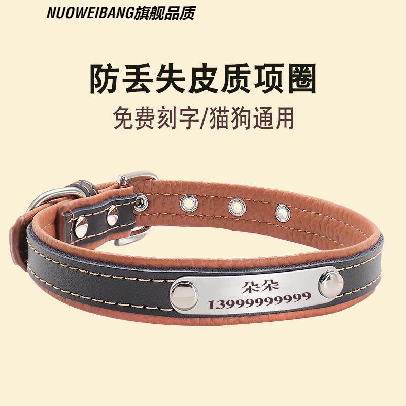 猫咪项圈刻名字定位防走丢牵引绳定制狗狗刻字脖围小型犬反光发光图片