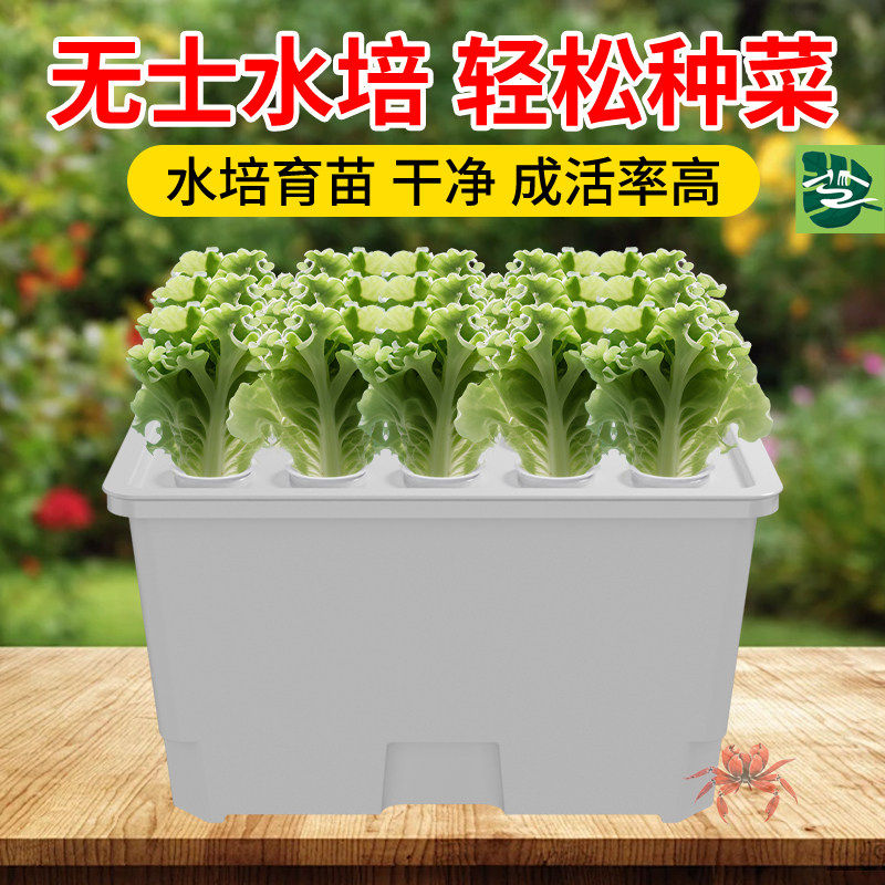 15孔水培蔬菜种植箱无土栽培阳台种菜水培植物育苗儿童教学种菜机