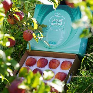 高山丑苹果冰糖心特级云南拉市海丽江泸沽湖宁蒗新鲜现摘高档礼盒