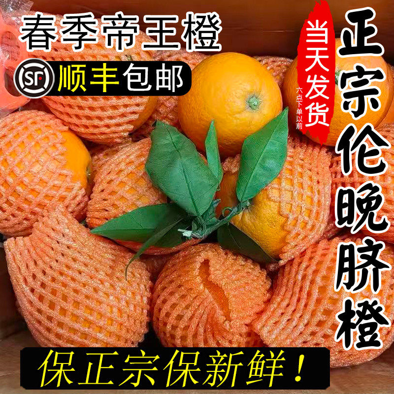 【顺丰包邮】秭归正宗伦晚脐橙春橙现摘新鲜橙子超甜当季水果橙子