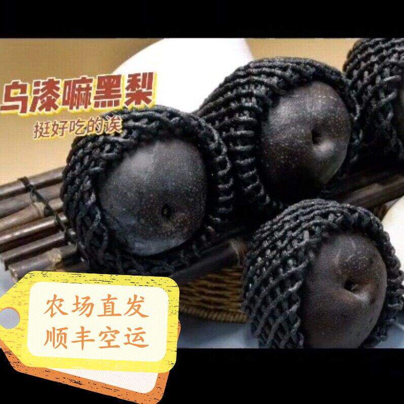 黑梨大果新鲜现摘乌黑梨四川特产成都脆甜黑皮梨子水果78