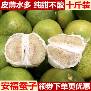 【新鲜上市】10斤安福柚子正宗江西特产萍乡蚕子吉安金兰柚包邮