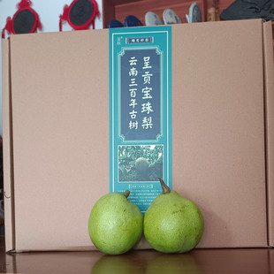 云南呈贡宝珠梨现摘脆甜香多汁香梨新鲜水果孕妇大果10斤整箱包邮