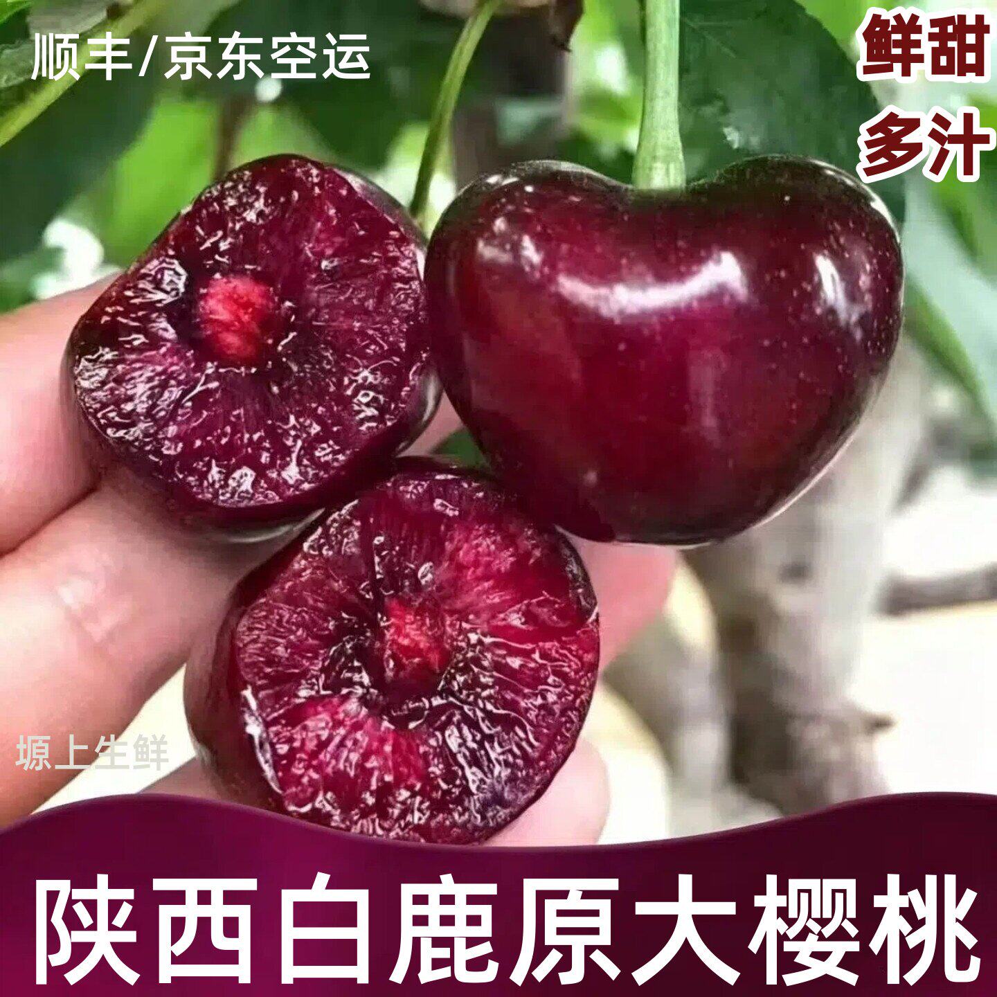 陕西樱桃西安白鹿原大樱桃新鲜车厘子水果国产美早鲜甜大果包邮