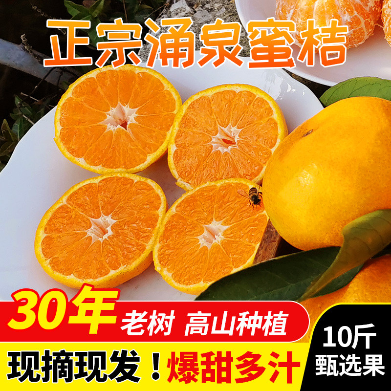 自家新鲜现摘超甜柑橘高山老树小桔子台州无核蜜橘10斤装